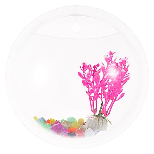 minkissy Aquarium Wandpflanzgefäß Fischtanks Wandhalterung Fischschale Fischschalen Pflanzen Dekor Glasschale Wandmontage Aquarium Fisch Aquarium Wandhalterung Aquarium von minkissy