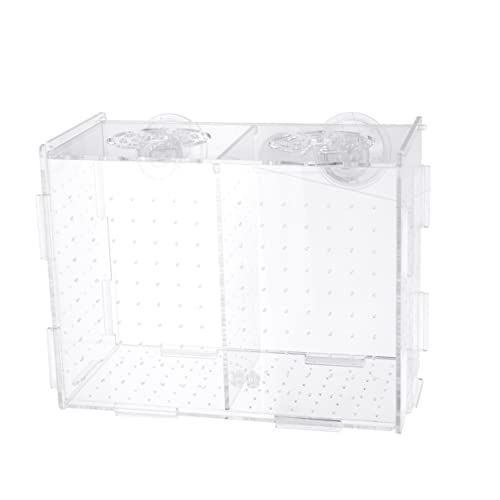 Aquarium Züchter Tank Aquarium Fischzucht Aquarium Net Hatchamals Züchter Inkubator Geburtsbecken für Fische Hatchinals mit Abdeckung Brutbecken von minkissy