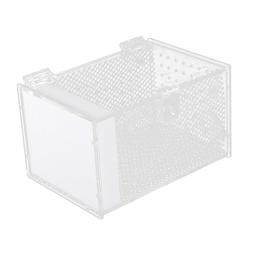 minkissy Box Pet Feeder Reptilien Terrarien Terrarium für Reptilien Leopard Feeder Spider Feeding Case Pet Breeding Cage Reptile Showing Holder Mantis Feeder Animal Crawl Acrylic White von minkissy