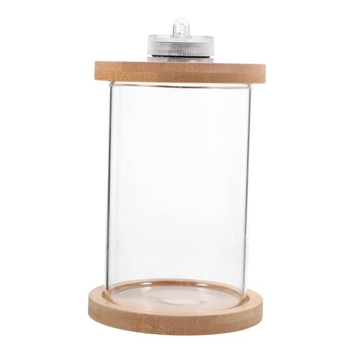 minkissy Glas Eimer Aquarium Schnecken Terrarium Mit Lichtern Scheinen Holz von minkissy