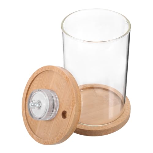 minkissy Glas Eimer Aquarium Schnecken Terrarium Mit Lichtern Scheinen Holz von minkissy