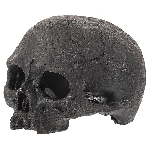 minkissy Aquarium Schädel-Dekoration Aus Kunstharz Versteck Für Fische Und Garnelen Halloween-inspirierte Aquariengestaltung Langlebig Und Pflegeleicht Für Terrarien Fischbecken minkissy Aquarium Schädel-Dekoration Aus Kunstharz Versteck Für Fische Und Garnelen Halloween-inspirierte Aquariengestaltung Langlebig Und Pflegeleicht Für Terrarien Fischbecken von minkissy