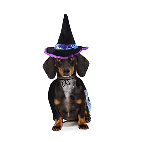 minkissy Halloween-kostü Für Haustiere Hunde-Halloween-Hoodie Welpenkleidung Hexenhunde-Outfit Hexenhundekostü Welpen-Halloween-Outfit Kätzchen Baumwolle Haustierzubehör Modisch Violett von minkissy