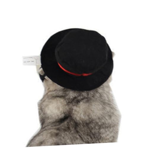 minkissy Welpenzubehör für kleine Hunde Halloweenkostüm Cosplay-Zubehör Hundemütze Halloween kostüm Halloween Costume Cosplay-Accessoire Kostümzubehör Haustier Hut Zylinder Kleidung von minkissy