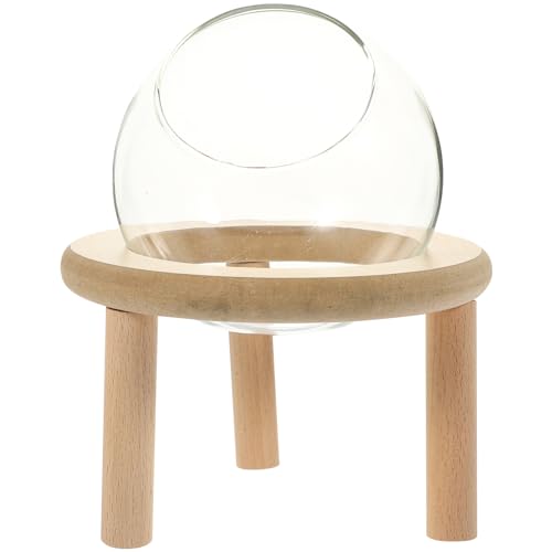 minkissy Hamsterbett Hamsterhaus Glaskugel Kugel Badezubehör Zubehör für Aquarien Badewanne Sandbad für Hamster kleines Sandbad Sand Graben Kleine Tiere Kaktus schlafendes Nest Vase Glas von minkissy