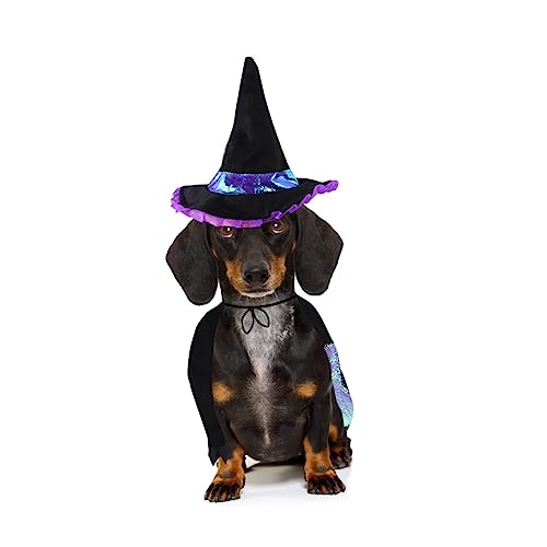 minkissy Haustier-Halloween-Kostüm, Haustierkostüme, Halloween-Kostüme für Haustiere, Haustier-Kostüm, Verkauf, Haustier-Partys, Haustier-Fotoshootings, Hundekostüme, modische Kleidung, von minkissy