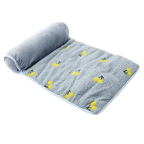 minkissy Haustiermatte Hundebett Matte Haustier Warm Welpe Katze Heimtierbett Waschbares Hundebett Tragbare Matratze Haustierbett Für Den Innenbereich Hundeschlafbett Zwinger Winter Tuch von minkissy