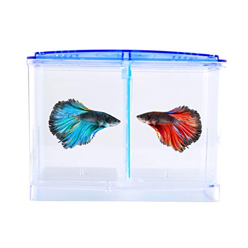 minkissy Kasten Fischzuchtnetz Zuchtnetz Für Aquarien Aquarienzuchtbox Fischzüchter Netz Züchternetz Für Aquarien Triops Züchten Eingewöhnungsnetz Tropf-akklimatisierungs-kit Acryl Aquarium von minkissy