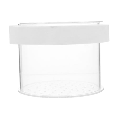 minkissy Kasten Isolationsbox Aquarium Kindergarten Brüterisolierung Und Brutbecken Fall Fischzucht Fisch-isolationsfall Betta Aquarium Trennwand Aquarienbedarf Acryl Fischteich Suspendiert von minkissy