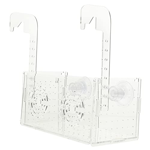 minkissy Shrimp Guppies Zuchtbox -isolationsbox Für Aquarien Mit Saugnapf Separierbar Für Fische Und Garnelen Langlebig Und Für Fischbrut minkissy Shrimp Guppies Zuchtbox -isolationsbox Für Aquarien Mit Saugnapf Separierbar Für Fische Und Garnelen Langlebig Und Für Fischbrut von minkissy