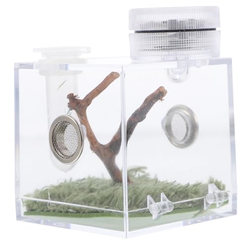 minkissy Kasten Springspinnen-zuchtbox Mini Käfig Für Spinnenlebensräume Großer Luftbefeuchter Glas-Container Sprungspinnengehege Terrarienbecken Kleine Spinne Reptil Kleiner Behälter Acryl von minkissy