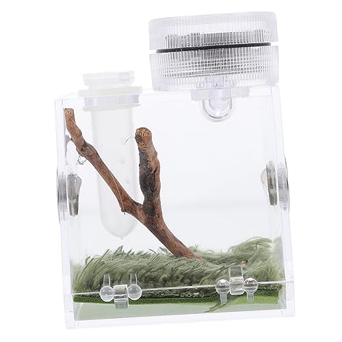 minkissy Kasten Springspinnen-zuchtbox Klares Reptil Springender Spinnenlebensraum Mini-zubehör Terrariennebler Großer Glasbehälter Kleiner Luftbefeuchter Kriechen Tier Acryl Kleine Spinne von minkissy