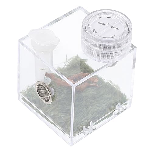 minkissy Kasten Springspinnen-Zuchtbox Gel-Nagellack Glasbehälter Mini-Luftbefeuchter Springender Spinnenkäfig Insektenhaus kriechen Kleine Tiere Bodenkäfig Fütterungsbox kleine Spinne Holz von minkissy