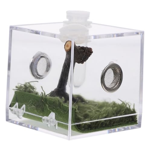 minkissy Kasten Springspinnen-zuchtbox Spinnenbox Eidechsen Höhle Springspinnen-Terrarium Reptilien Zuchtbox Spinnenbecken Futterbox Für Spinnen Tarantula-Box Acryl Fütterungsbox Insekt von minkissy