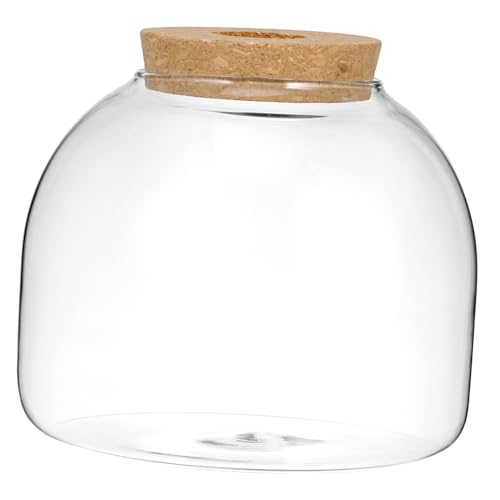 minkissy Kork Glasflasche Wasservermehrungsstationen Betta Aquarium Geometrische Pflanze Terrarium Hydrokultur Pflanze Terrarium Desktop Glasvase Desktop Pflanze Terrarium Holz Kugelförmiger von minkissy