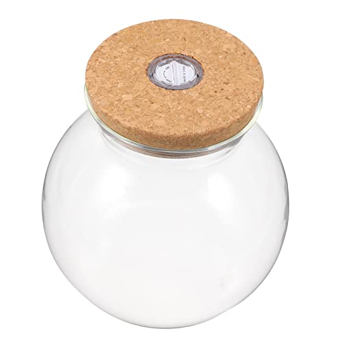 minkissy Landschaftsflasche Micro Landschaft Vase Hochzeitsvasen Einfaches Pflanzenterrarium Geschlossenes Terrarium Ökosphäre Siegel Pflanzenständer Glas Mit Hohem Borosilikatgehalt Weiß von minkissy