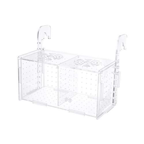 minkissy Lebender Fisch Lebende Garnelen Artemia-Eier Aquariumständer Halter Für Aquarien Aquarien-inkubator Brutkasten Für Fische Brutkästen Zuchtbox Betta Fisch von minkissy