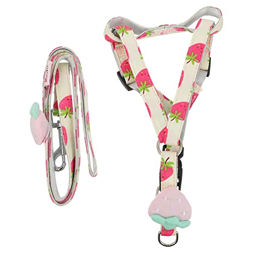 minkissy Tier Zugkraft Hund Zugseil Haustier Schleppleine Outdoor Obst Muster Licht 1 5 cm Erdbeere minkissy Tier Zugkraft Hund Zugseil Haustier Schleppleine Outdoor Obst Muster Licht 1 5 cm Erdbeere von minkissy