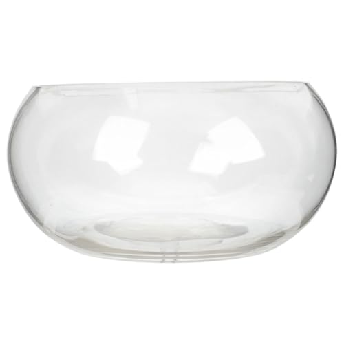 minkissy Mini-Aquarium Fischglas Runde Glasschale Vase Fischglas Für Schreibtisch- Glasterrarium 1 Stück von minkissy