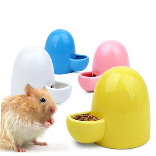 minkissy Mini-wasserflasche Wasserflasche Für Hunde Glasspender Mini-wasserspender Für Haustiere Hamsterwasserflasche Für EIN Aquarium Keramikschale Futternapf Heu Wasserkocher Vögel Tasse von minkissy