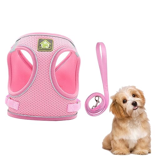 minkissy Set Welpen Gehen Weste Welpen Träger Sling Reflektor Weste Reflektierende Westen Reflektierende Leine Reflektierende Weste Für Hunde Kleine Hund Träger Sling Outdoor Weste von minkissy