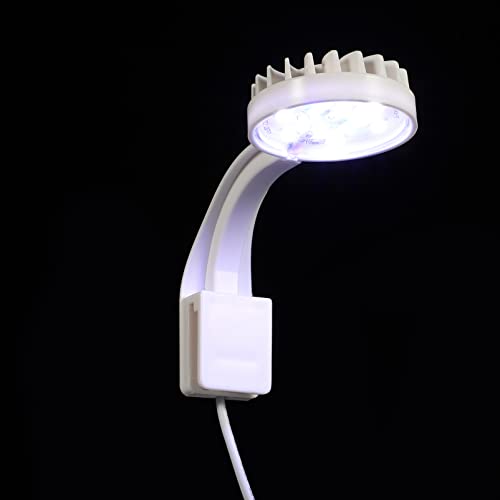 minkissy Taschenlampe Mini-Aquarium Mini-Zubehör Minipflanzen Clip-on-Aquarium-Lampe LED-Clip-Licht Aquariumbeleuchtung Versorgung mit Aquarien Aquariumlampe Praktisches Aquariumlicht Weiß von minkissy