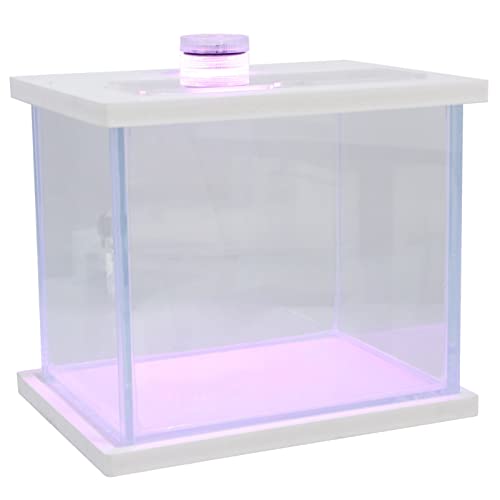 minkissy Mini-Aquarium-Set, Mini-Aquarium, Desktop-Aquarium, Fischbehälter, Desktop-Dekoration, kleines Terrarium, Tischdekoration, klares Aquarium, Rifftank, Korallenbecken, einfaches Glas, weiß, von minkissy