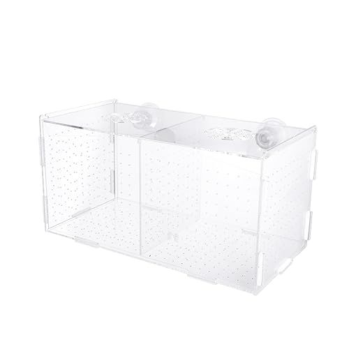 minkissy Inkubator Hatchinale Hatchamals Brutkasten Für Fische Brutkästen Halter Für Aquarien Aquarium Zuchtbox von minkissy