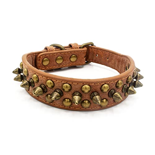 minkissy nietzange kloben verstellbar Brown pet Supplies Dog Collars Hundewandern Nieten hundehalsband Haustier Hundehalsband Niethalsband für Hunde und groß Französische Bulldogge von minkissy