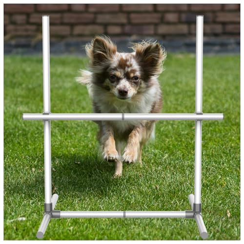 mioule Agility-Trainingsgerät für Hunde, 2er-Set von mioule