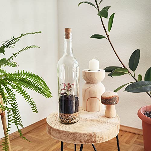 Pflanzenterrarium Kit Amo Naturaleza 30cm von mitienda mit Liebe gemacht