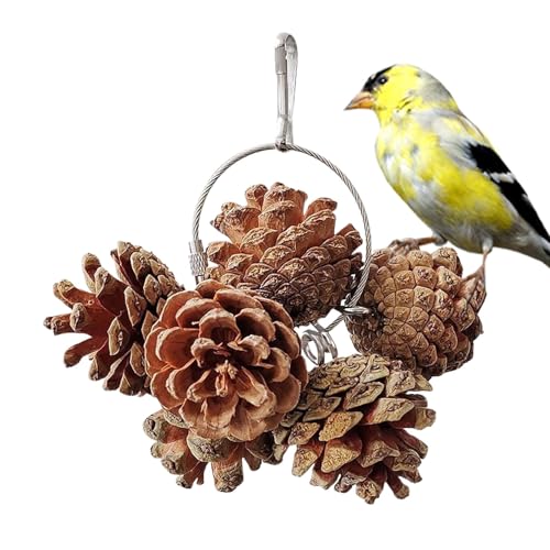 Natural Pinecone Bird Chew Toys, Nut Chewing Parrot Toys for Cage, Interactive Bird Toys for Small and Medium Macaws, Parakeets, and Cockatoos, Cage Accessories for Pet Birds' Beak Health and Activity von mivceklw