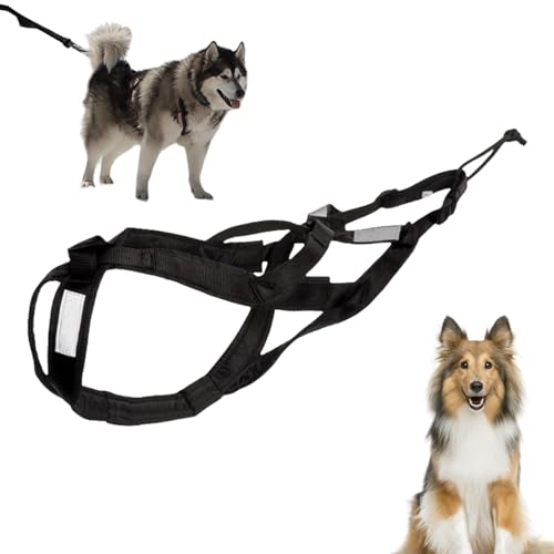 Sleek Design Dog Harness, Sled Dog Harness High Strength, Professional Sled Dog Harness, Heavy Nylon Dogs Harnesses for Canicross, Large Dogs, Safety, Outdoor, Reisen, Schwarz, Rot von mivceklw