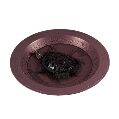 Tortoise Food Dish, Reptile Feeding Dish, Amphibian Water Bowl, Bearded Dragon Container with Shallow and Accessible Design for Serving Meals or Water to Pets, 1 Piece von mivceklw