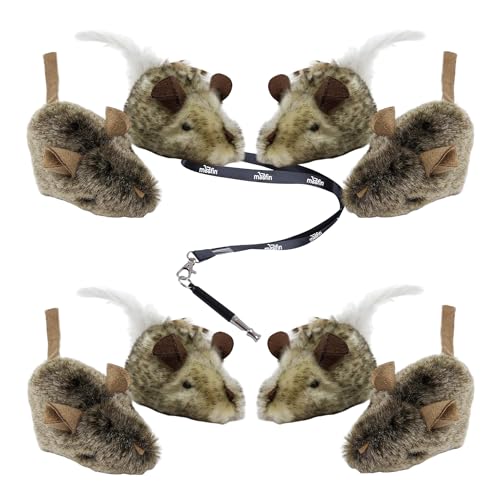 Set mit Tierhaar-Reinigungshandschuhen – 58 x 40 cm und Play-N-Squeak Twice The Mice Katzenspielzeug, 2 Stück (interaktives Katzenspielzeug, Katze, 4 Stück) von moofin