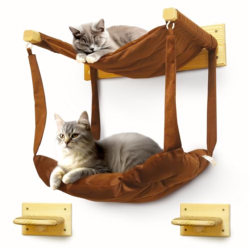 myHANA Kletterwand Katzen Set Kiefernholz | Katzenhängematte 3 Farbvarianten| 2X Katzentreppe Wand | Katzen Wandelemente Set| Katzenmöbel | Katzewandliege| Katzenbett | Katzen Wand Set Klettern von my HANA