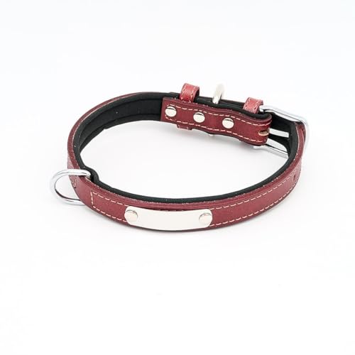 Hundehalsband mit Namen aus hochwertigem Leder, Innenpolsterung L 37-47cm / Braun von mypfote.com