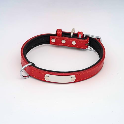 Hundehalsband mit Namen aus hochwertigem Leder, Innenpolsterung M 29-38cm / Rot von mypfote.com