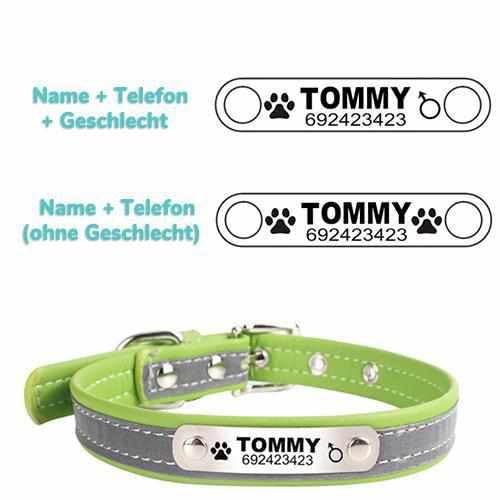 Hundehalsband mit Namen und Telefon graviert. Reflektierend Grün/M 29-38cm von mypfote.com