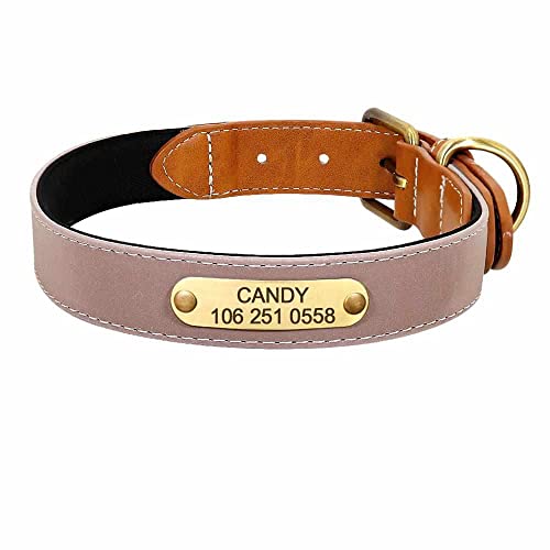 mypfote.com Wunderschönes Reflektions Hundehalsband mit Namen graviert Kaffeebraun/L 36-46cm von mypfote.com