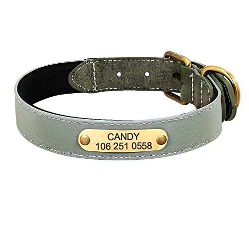 mypfote.com Wunderschönes Reflektions Hundehalsband mit Namen graviert Grün/M 28-36cm von mypfote.com