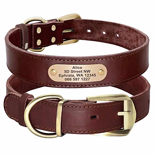 mypfote.com Edles Hundehalsband aus Rindsleder mit Gravur von Name und Telefon, für mittlere und große Hunde Farbe Braun/Größe M 35-45cm von mypfote.com