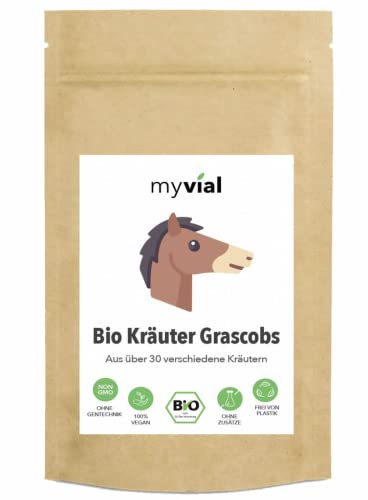 Bio Kräuter Grascobs 3kg Leckerli für Pferde Schafe Nagetiere Heucobs mit 30 verschiedenen Kräutern aus Deutschland - Kräuter Pellets mit Grassamen Wiesenflakes Wiesencobs Pferdefutter von myvial