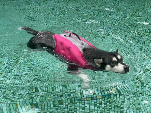 Hundeschwimmweste, aufblasbare Schwimmweste für Hunde, verstellbare Schwimmweste, hohe Schwimmweste, Schwimmweste für Hunde, zum Schwimmen, Bootfahren (Rosa, Größe S) von myyAA