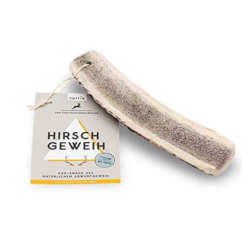 naftie Hirschgeweih halb Geweihstange - Geweih Hundekauknochen - XL für sehr große Hunde - mineralstoffreich, geruchsarm & langlebig von naftie