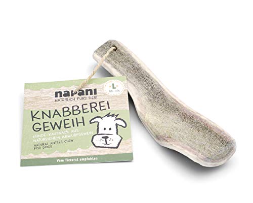 napani - Knabberei Geweih für Hunde, natürlicher Knabbersnack, Leckerli für Hunde, natürliche Zahnpflege, geruchsarm & mineralreich, L - Hund 25 bis 35 kg von napani