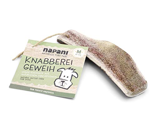 napani - Knabberei Geweih für Hunde, natürlicher Knabbersnack, Leckerli für Hunde, natürliche Zahnpflege, geruchsarm & mineralreich, M - Hund 15 bis 25 kg von napani