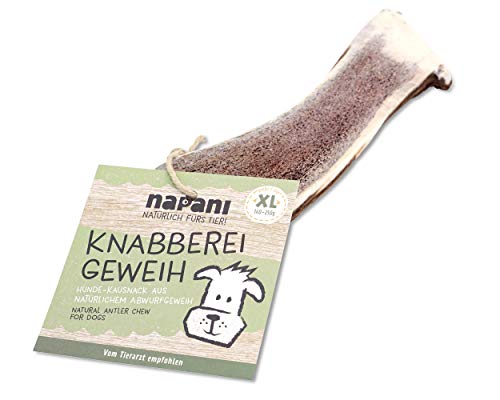 napani - Knabberei Geweih für Hunde, natürlicher Knabbersnack, Leckerli für Hunde, natürliche Zahnpflege, geruchsarm & mineralreich, XL - Hund 35 bis 45 kg von napani