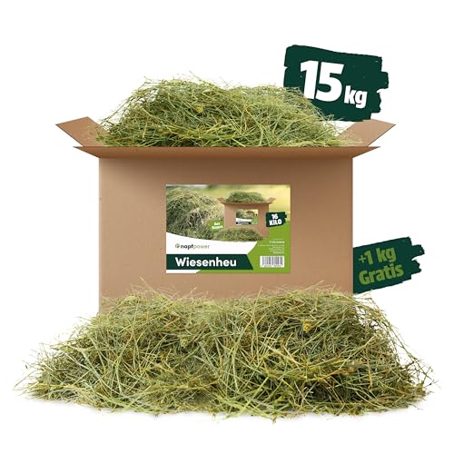 napfpower 15 kg + 1 kg GRATIS Heu direkt vom Hof | 1. Schnitt Wiesenheu aus Bayern | hochwertiges & unbehandeltes Heu für Futter & Einstreu von Kaninchen, Hamster, Meerschweinchen & Hasen von napfpower