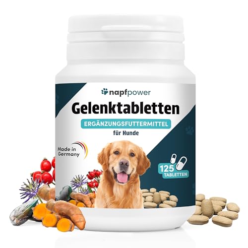 napfpower Gelenktabletten Hund (125 STK.) mit Grünlippmuschel - Leckerli mit MSM, Teufelskralle, Glucosamin, Hyaluron & Kurkuma Unterstützt die Gelenke & Knochen von napfpower